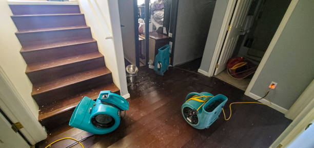Best Mold removal after water damage  in Louisville, OH