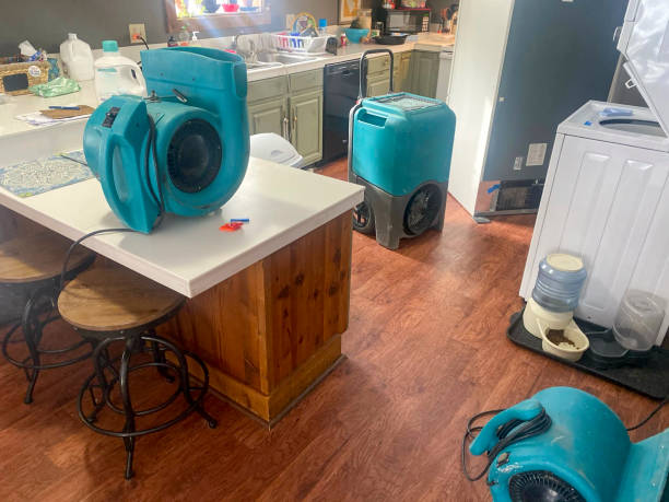 Best Local water damage restoration  in Louisville, OH