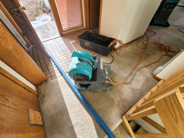 Best Carpet water damage restoration  in Louisville, OH