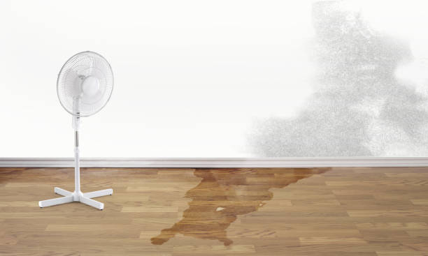 Best 24-hour water damage restoration  in Louisville, OH
