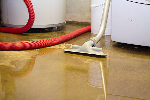 Best Commercial water damage restoration  in Louisville, OH
