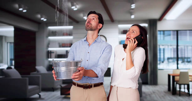 Best Water damage cleanup near me  in Louisville, OH